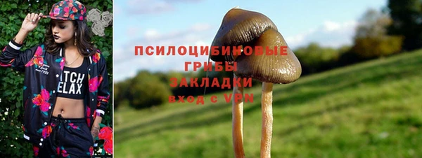 ALPHA PVP Горно-Алтайск