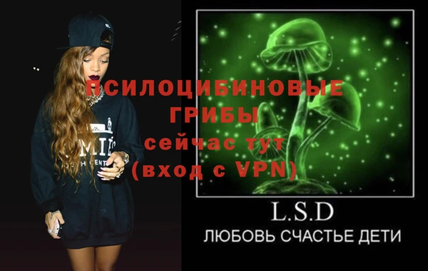 PSILOCYBIN Горняк