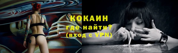PSILOCYBIN Горняк