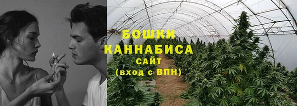 MESCALINE Гусь-Хрустальный