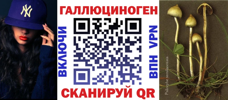 нарко площадка формула  Майкоп  Галлюциногенные грибы ЛСД  наркота 